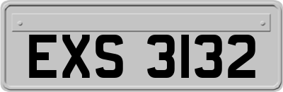 EXS3132
