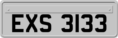 EXS3133