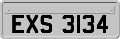 EXS3134