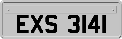EXS3141