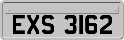 EXS3162