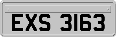 EXS3163