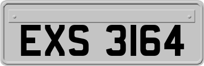 EXS3164