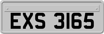 EXS3165