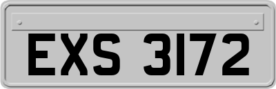 EXS3172