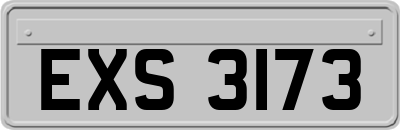 EXS3173