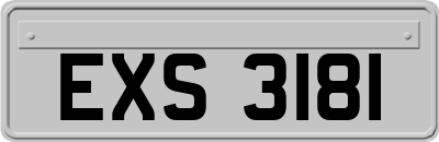 EXS3181