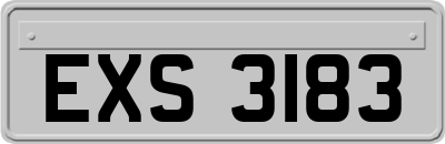 EXS3183