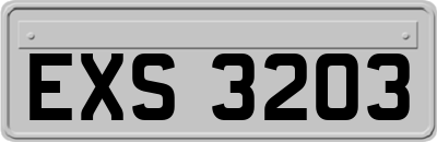EXS3203