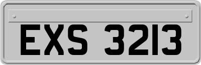 EXS3213