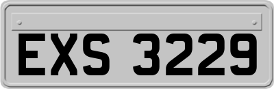 EXS3229