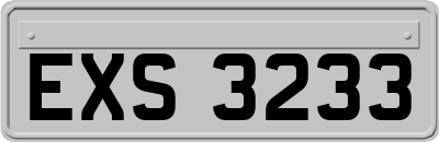 EXS3233