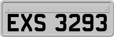 EXS3293
