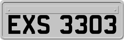 EXS3303