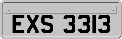 EXS3313