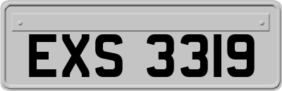 EXS3319
