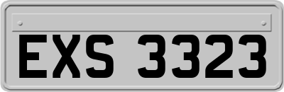 EXS3323