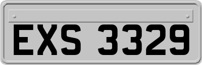EXS3329