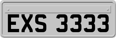 EXS3333