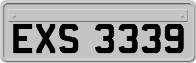 EXS3339