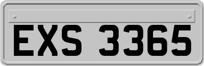 EXS3365