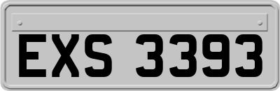 EXS3393
