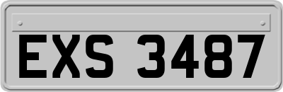 EXS3487