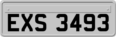 EXS3493