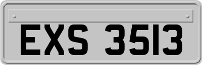 EXS3513
