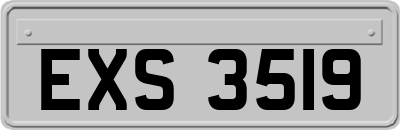 EXS3519