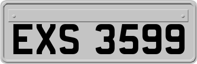 EXS3599