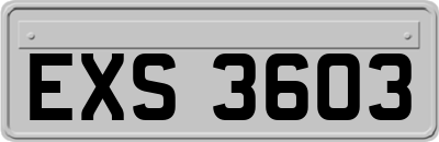 EXS3603