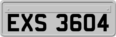 EXS3604