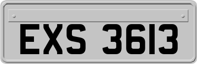 EXS3613