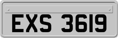 EXS3619