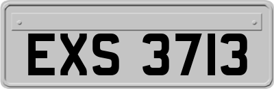 EXS3713