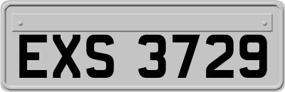 EXS3729