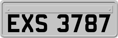 EXS3787