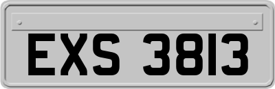 EXS3813