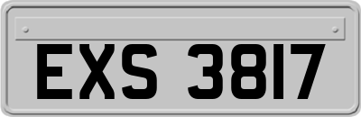 EXS3817
