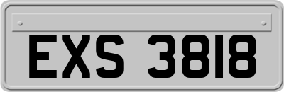 EXS3818