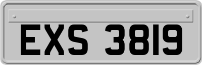 EXS3819
