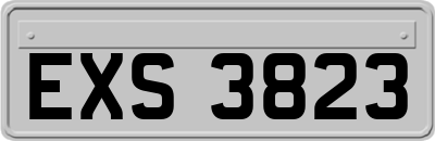 EXS3823