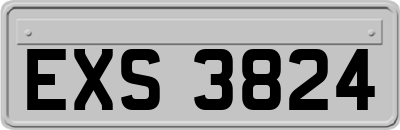 EXS3824