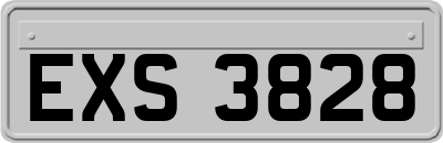 EXS3828