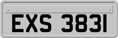 EXS3831