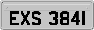 EXS3841