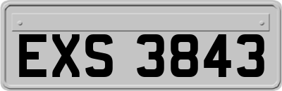 EXS3843