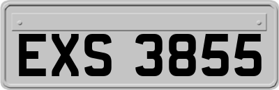 EXS3855
