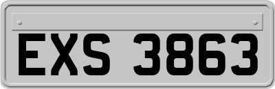 EXS3863